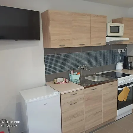 U Vrbu Apartment *