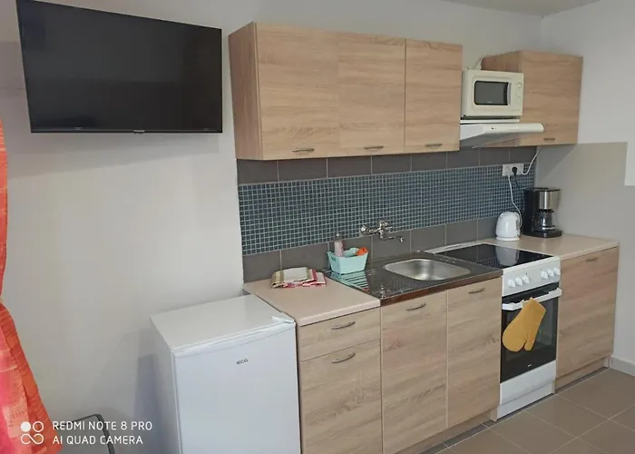 U Vrbů Apartman *